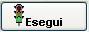 pulsante ESEGUI